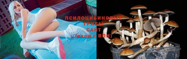 гашишное масло Козловка