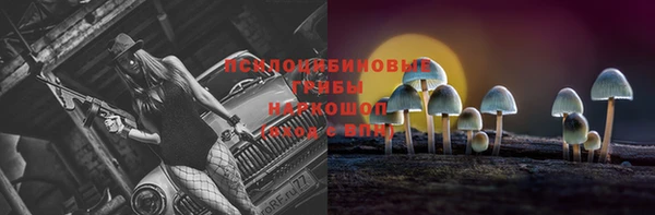 тгк Козельск